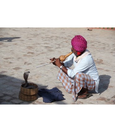 INDIA, TRIANGULO DORADO